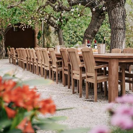 Villa Catalina Aka Villa Almanita Sant Pere De Ribes Zewnętrze zdjęcie