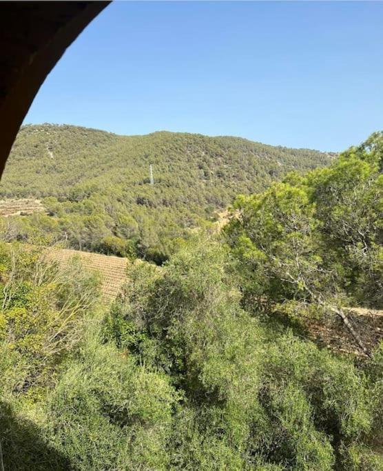 Villa Catalina Aka Villa Almanita Sant Pere De Ribes Zewnętrze zdjęcie