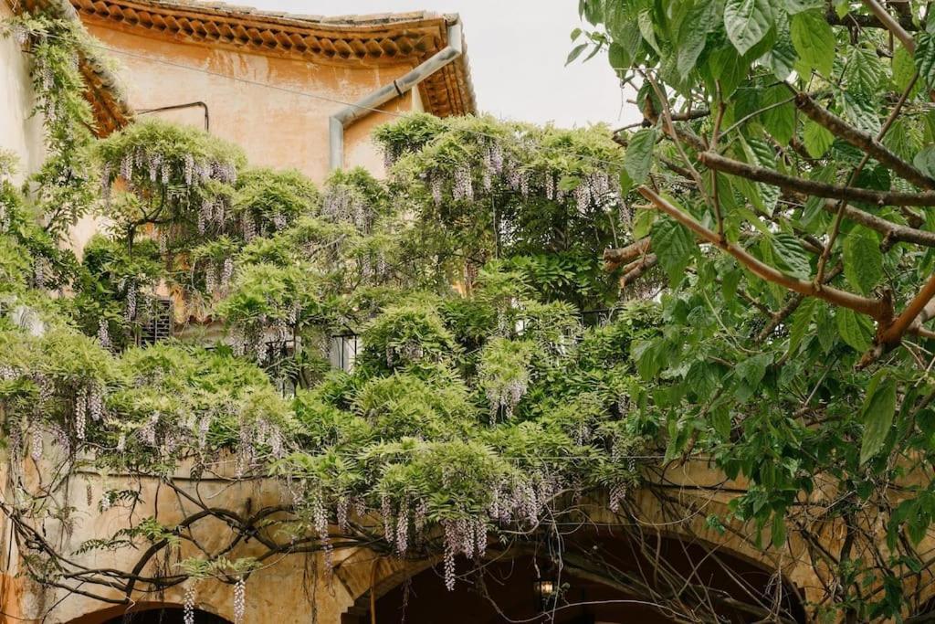 Villa Catalina Aka Villa Almanita Sant Pere De Ribes Zewnętrze zdjęcie