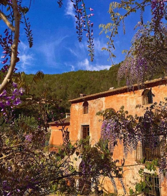 Villa Catalina Aka Villa Almanita Sant Pere De Ribes Zewnętrze zdjęcie